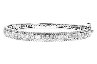 F319-55792: BANGLE 4.19 E.C. 5.30 TW