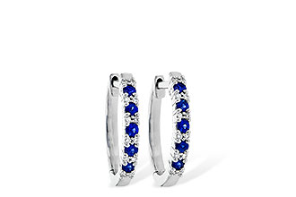 K235-94882: EARR .24 SAPP .30 TGW